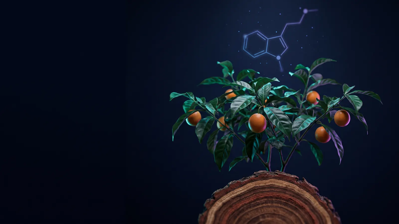 What Happens During an Ibogaine Trip? A Complete Guide to the Experience