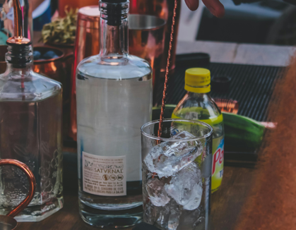 Ibogaine Treatment for Alcohol Addiction: What Patients Should Know