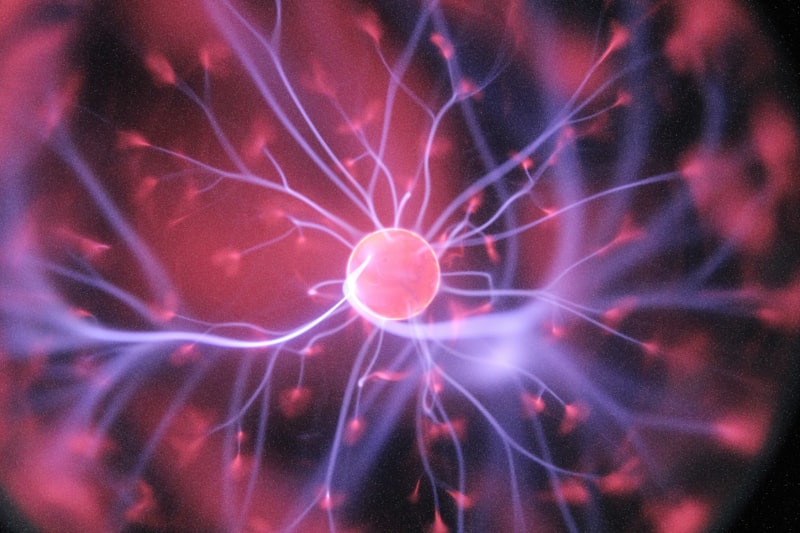 The Stanford Study That’s Changing Everything We Know About Ibogaine