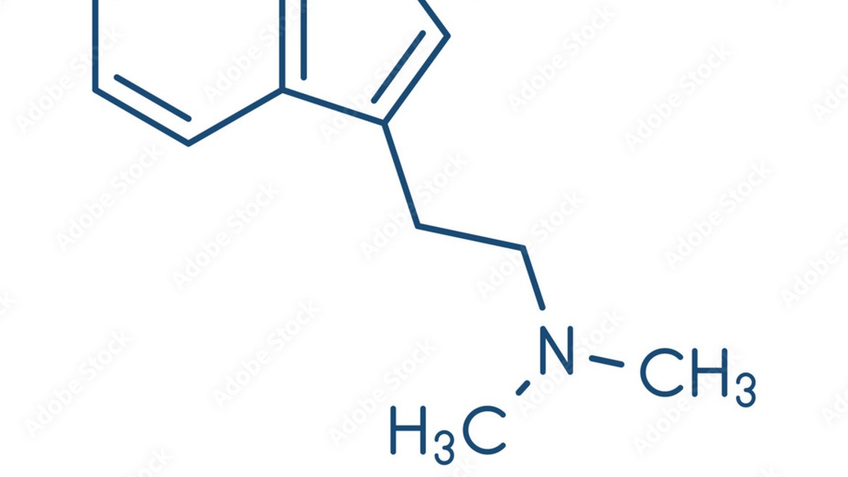 A 5-MeO-DMT retreat setting prepared for a supervised session